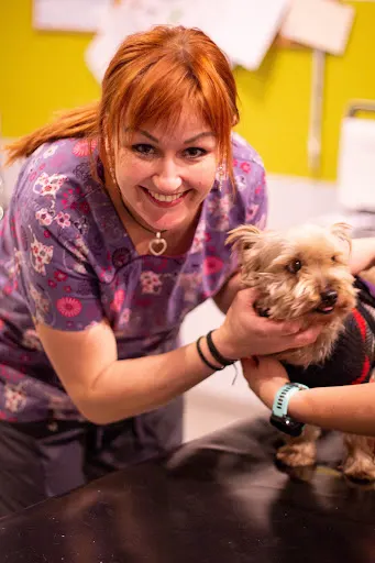 Gabinet Weterynaryjny Duże i Małe